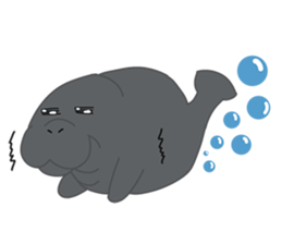 Seal Sea Cow (Dugong) Walrus & Sea Lion sticker #8421759