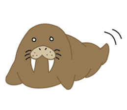 Seal Sea Cow (Dugong) Walrus & Sea Lion sticker #8421761