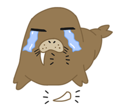 Seal Sea Cow (Dugong) Walrus & Sea Lion sticker #8421766