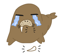 Seal Sea Cow (Dugong) Walrus & Sea Lion sticker #8421766