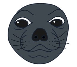 Seal Sea Cow (Dugong) Walrus & Sea Lion sticker #8421775