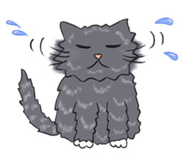 Seal Sea Cow (Dugong) Walrus & Sea Lion sticker #8421777