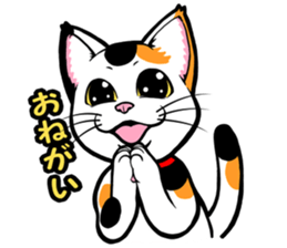 This Mi-ke cat name is korosuke. sticker #8422341