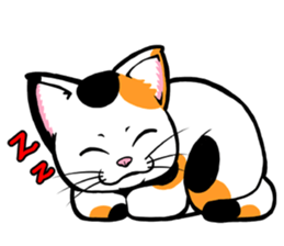 This Mi-ke cat name is korosuke. sticker #8422348