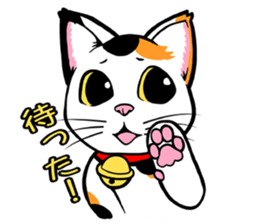 This Mi-ke cat name is korosuke. sticker #8422352