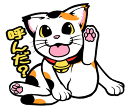 This Mi-ke cat name is korosuke. sticker #8422360