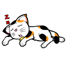 This Mi-ke cat name is korosuke. sticker #8422367