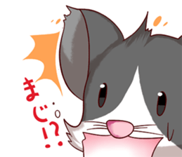 Hamster and Pandamouse sticker #8422471