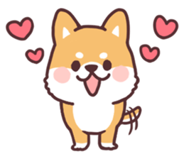 fluffy fat Shiba2 sticker #8424100