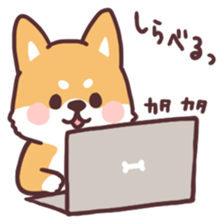 fluffy fat Shiba2 sticker #8424102