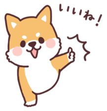 fluffy fat Shiba2 sticker #8424106