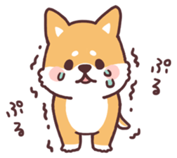 fluffy fat Shiba2 sticker #8424117