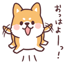 fluffy fat Shiba2 sticker #8424118