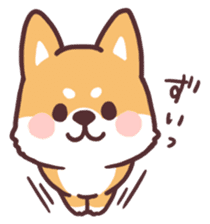 fluffy fat Shiba2 sticker #8424120