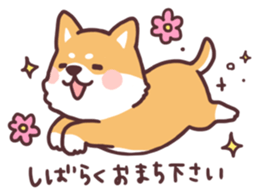 fluffy fat Shiba2 sticker #8424121