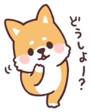 fluffy fat Shiba2 sticker #8424127