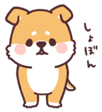 fluffy fat Shiba2 sticker #8424128