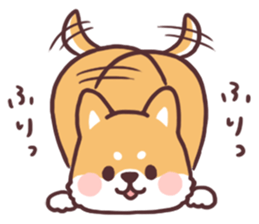fluffy fat Shiba2 sticker #8424130
