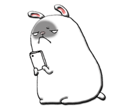 Rabbit such as the rice cake sticker #8424786