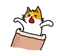 cats general live-cotton sticker #8425769
