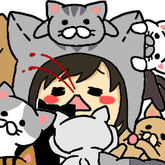 American short hair and the owner