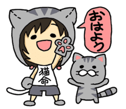 American short hair and the owner sticker #8425940