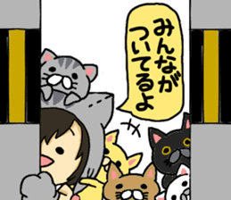 American short hair and the owner sticker #8425946