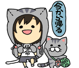 American short hair and the owner sticker #8425948