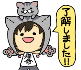 American short hair and the owner sticker #8425951