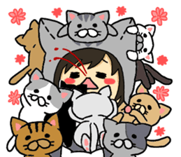 American short hair and the owner sticker #8425954