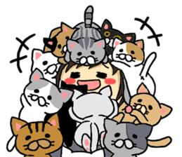 American short hair and the owner sticker #8425955