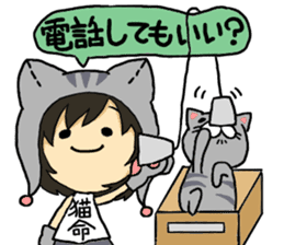 American short hair and the owner sticker #8425970