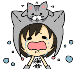 American short hair and the owner sticker #8425972