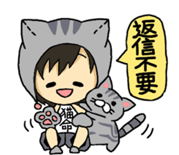 American short hair and the owner sticker #8425975