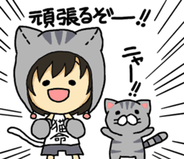 American short hair and the owner sticker #8425976