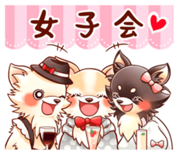 SHIROCHIWACHAN&KUROCHIWACHAN2 sticker #8426417