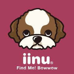 iinu - Shih Tzu
