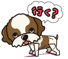 iinu - Shih Tzu sticker #8429341