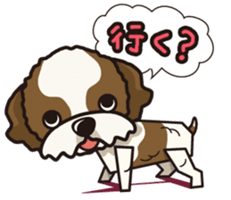 iinu - Shih Tzu sticker #8429341