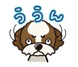iinu - Shih Tzu sticker #8429345