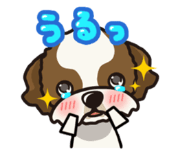 iinu - Shih Tzu sticker #8429358