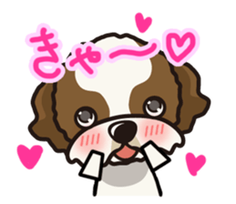iinu - Shih Tzu sticker #8429360