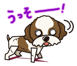 iinu - Shih Tzu sticker #8429365