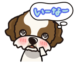 iinu - Shih Tzu sticker #8429376