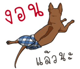 Namtarn Lang Aan Thai sticker #8429513