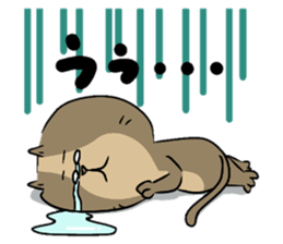 The lovable cat sticker #8431441