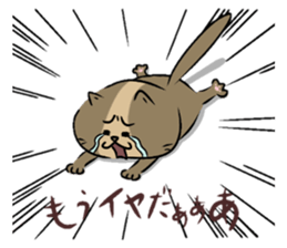 The lovable cat sticker #8431443