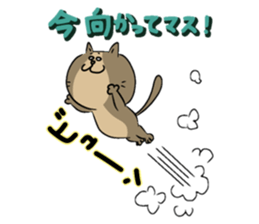 The lovable cat sticker #8431455