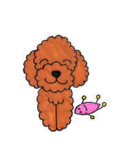 toy poodle sora and pretty girl sticker #8431781