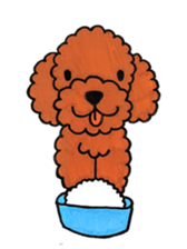 toy poodle sora and pretty girl sticker #8431783